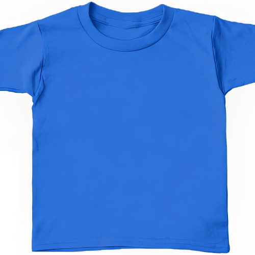 Plain T-Shirt Size 2-4 (Blue)